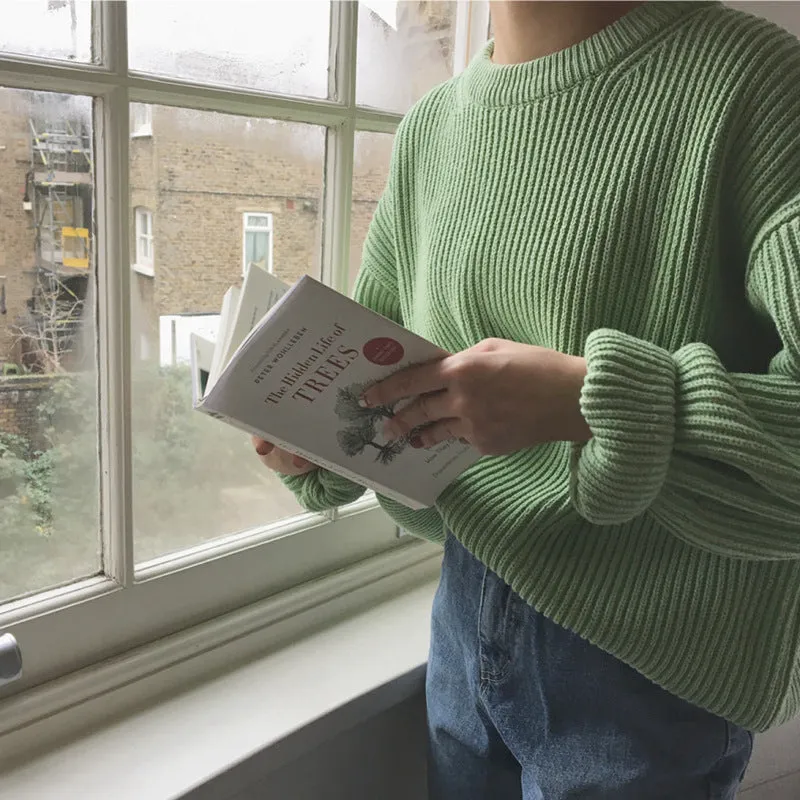 Basic solid colors oversized sweater